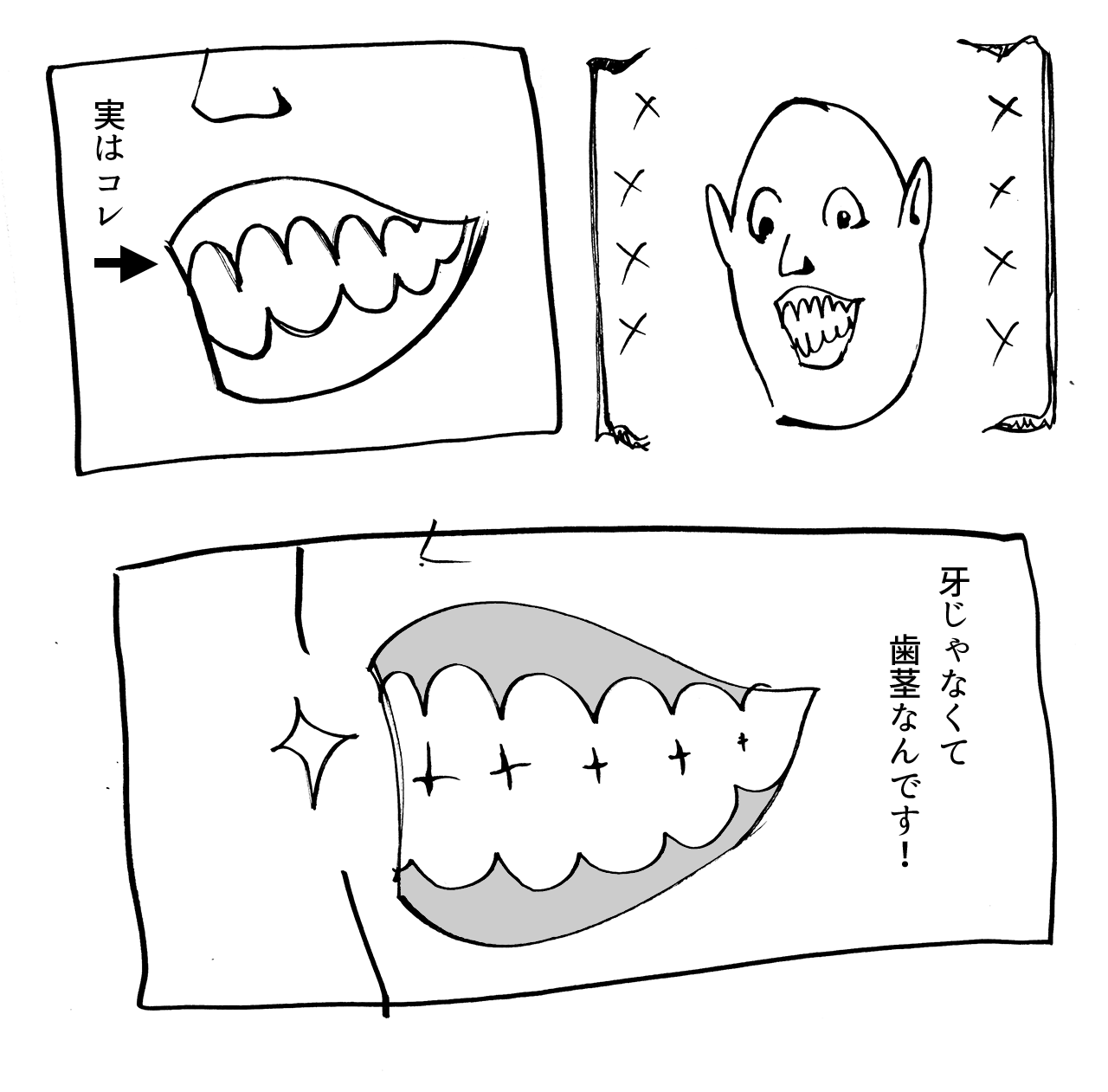 歯　