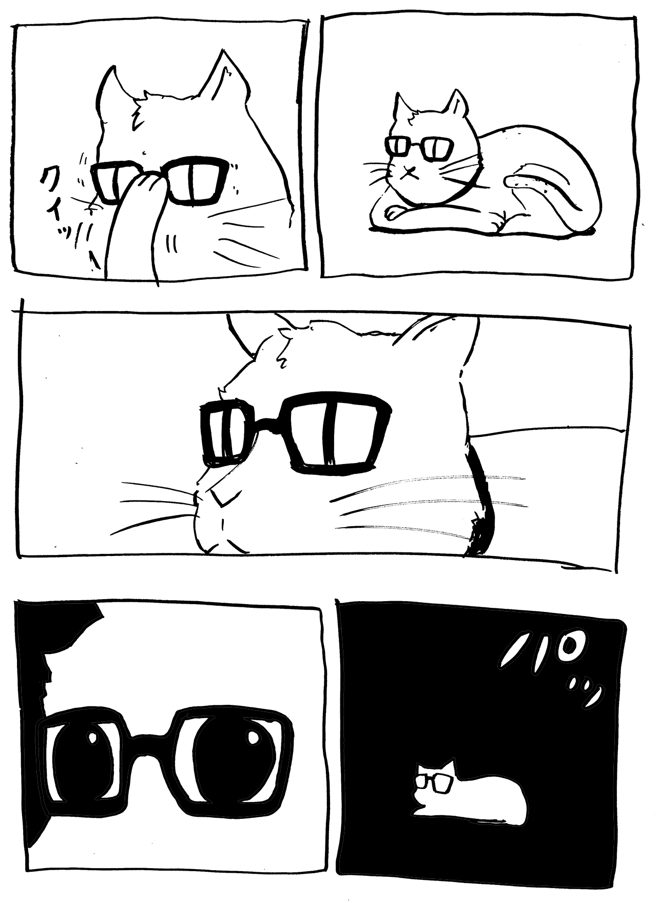 メガネ猫　